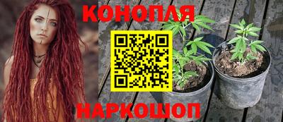 apvp Краснознаменск